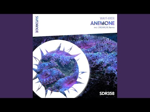 Anemone (Original Mix)