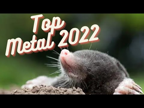Top 2022