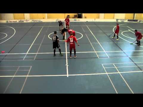 RSS Panthers Red - SB Pro -00 harkkapeli