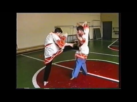 Славяно горицкая борьба