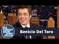 Benicio Del Toro Left Las Vegas with Two Tortoises