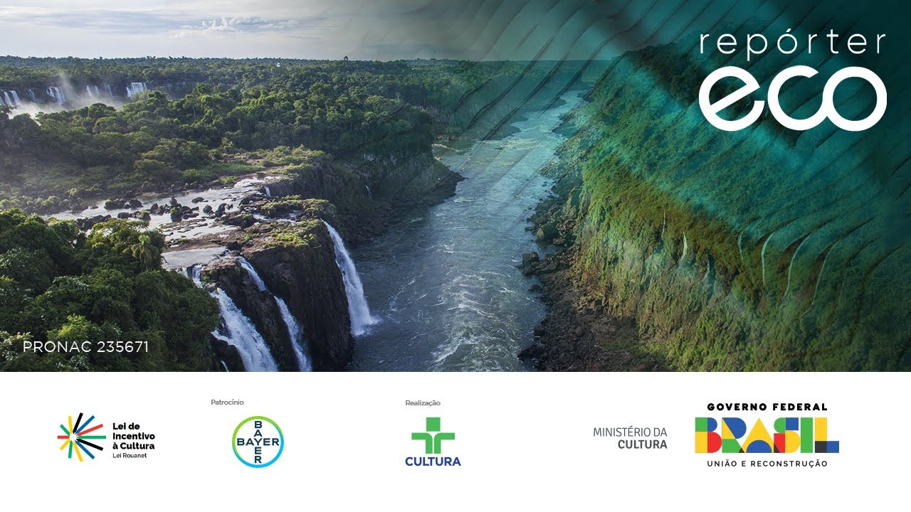 Repórter Eco | Mata Atlântica no Sul do Brasil: Conexões com o Parque do Iguaçu | 04/08/2024