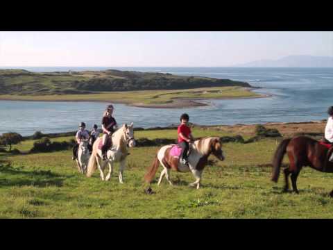 download lagu mp3 mp4 Island View Riding Stables, download lagu Island View Riding Stables gratis, unduh video klip Island View Riding Stables