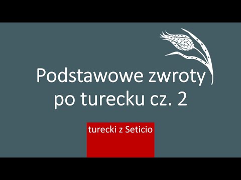 11. Basic Phrases and Expressions Part 2 - Turkish with Seticio - Lesson 11