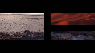 Robert Curgenven - They Tore... (Official Trailer)