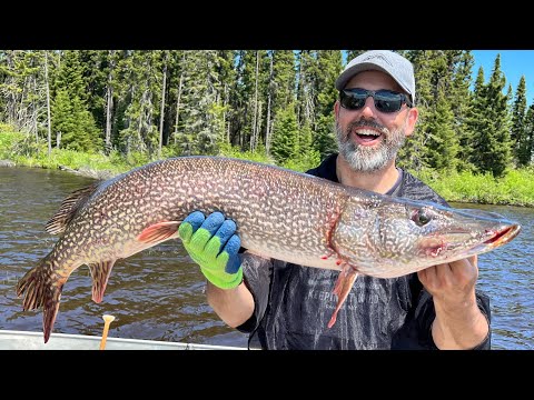 $1300 MISTAKE and a TROPHY Pike on our Fly-in Trip (Part 3)
