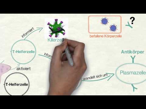 Specific immune reaction