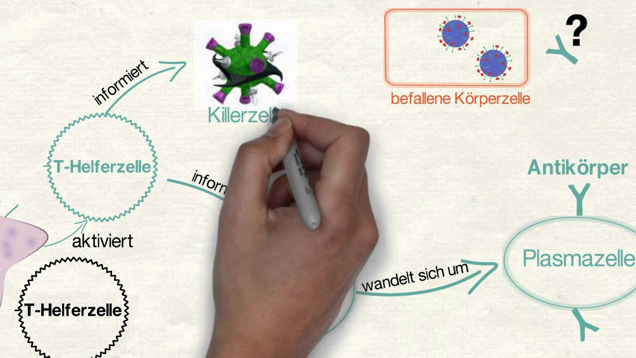 Spezifische Immunreaktion