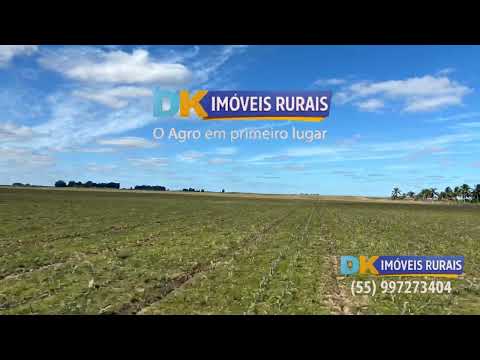 🚜 Arrendamento Rural em Santa Margarida do Sul/RS | 200 Hectares com Sede e Galpão 🌾