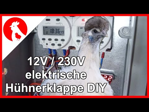 086 Elektrische Hühnerklappe 12V / 230V günstiger Eigenbau - Jensman and the Huhns