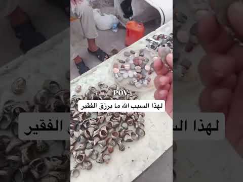 وين ما تروح ما يخلوك تشتغل 🤣 #اكسبلور #كامري #دويتو #دويتو #محركات #ترند #ستار #تيك_توك #ضحك