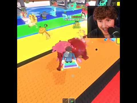 Caylus Gets The Rarest Brainrot