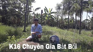 Tân Binh Nhà Cu Gáy Thành Luân / Bổi Nổi K16 Tân Binh Nhà Cu Gáy Thành Luân / Bổi Nổi K16