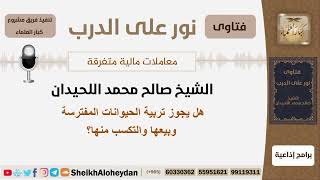 هل يجوز تربية الحيوانات المفترسة وبيعها والتكسب منها؟ الشيخ اللحيدان - مشروع كبار العلماء image