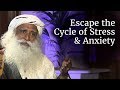 How To Escape The Cycle Of Stress Anxiety And Misery Sadhguru