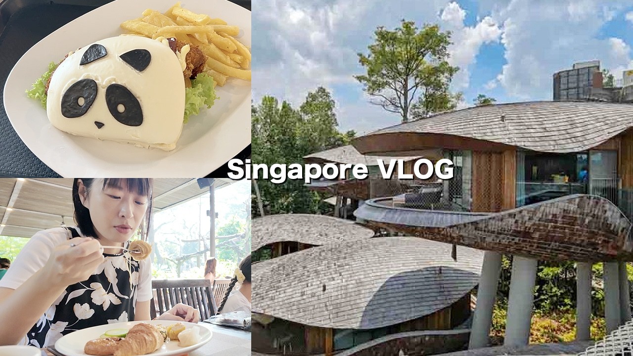 너무 좋았던 싱가폴 동물원 호텔 2박 3일 여행 🐼 | 싱가폴 여행 브이로그
