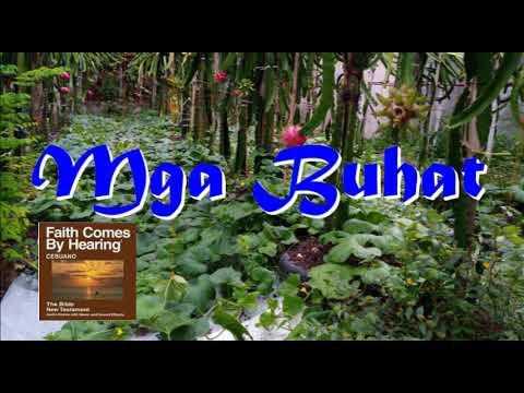 CEBUANO AUDIO BIBLE: MGA BUHAT (ACTS) 1 - 28 | Whole Book | Visayan Audio Bible | NEW TESTAMENT