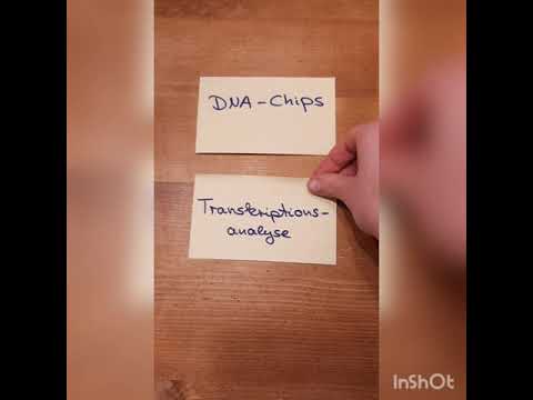 Leistungsfach Bio: DNA-Chips / DNA-Sonden Gendiagnostik und Transkriptanalyse