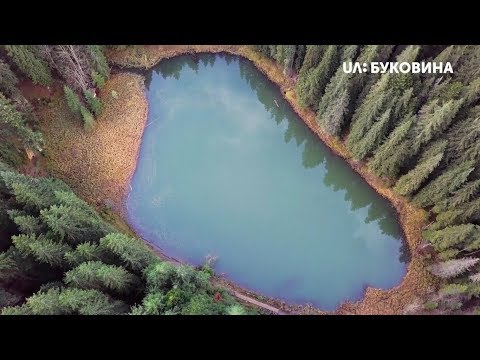 Sarata — Video