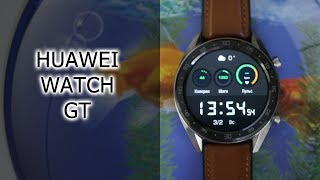 HUAWEI Watch GT Сlassic Silver (55023257) - відео 3