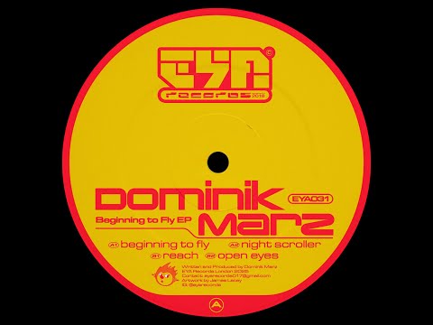 Dominik Marz -- Beginning To Fly