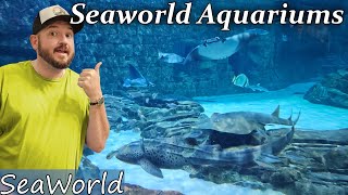 Ranking all the Aquariums at Sea World. Which One is Best?