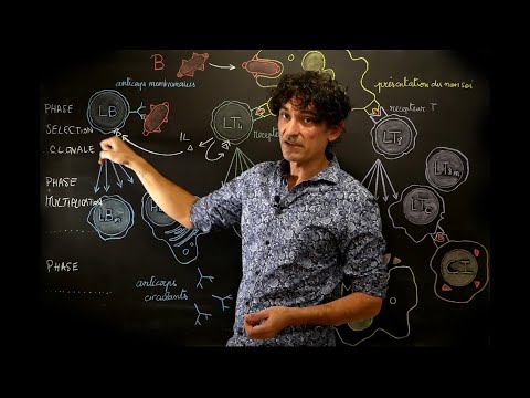 RÉPONSE IMMUNITAIRE ADAPTATIVE