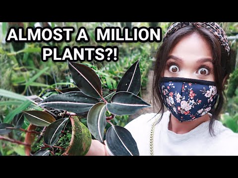 Finally Went Plant Shopping & it was INCREDIBLE!