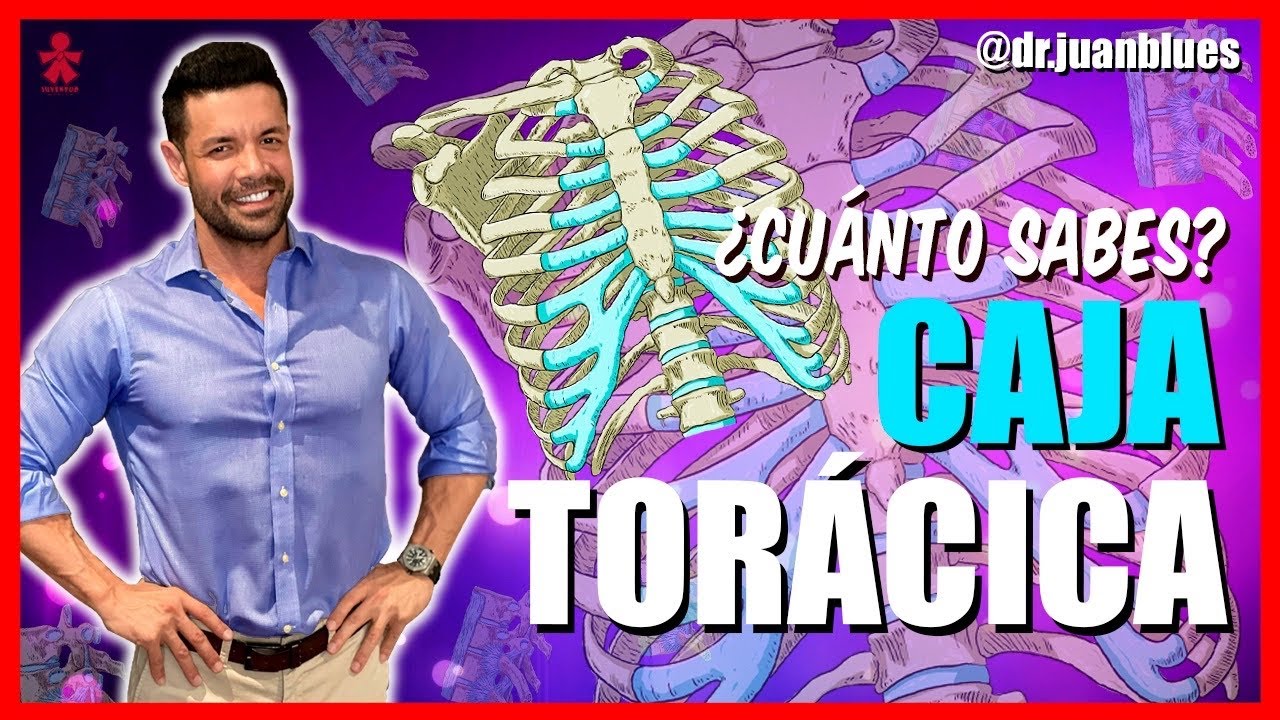 LA CAJA TORÁCICA ‼️  #Anatomía