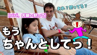 【後編】我が家の力関係が暴露された、全くお洒落じゃないグランピ動画が出来上がる😓 #アラフィフ夫婦 #天然夫 #日独 #国際結婚 #海外 #キャンプ #uae