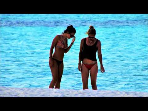 Tropical House // Monoir ft  Alexandra Stan - Save The Night (Robert Cristian Remix)