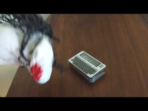 #SEPTANDY 2020: Fletcher and JT