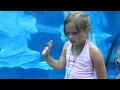 Detroit Zoo Nora Checking Out The Seals