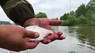 Охотничье рыболовного комплекса голубино