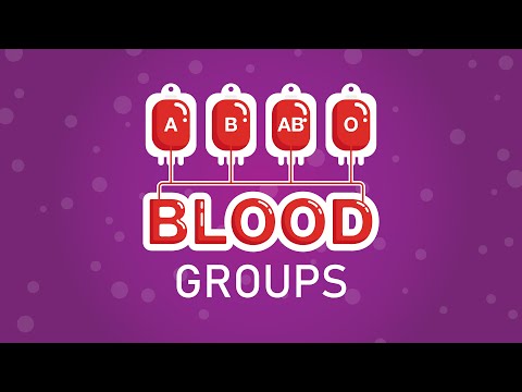 What are blood groups?