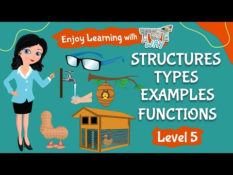 Structures | Types | Examples | Functions | Science | TutWay