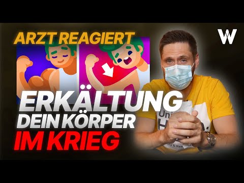 Bist du krank? Schnupfen, Fieber, Grippe: Was bei Erkältung im Körper passiert! [Arzt reagiert]