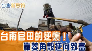 5000 噸垃圾的絕地大反攻！台灣把農廢做成高價機能紗，下一個兆元產業就在田野間 台灣農廢再生技術超震撼，能減少碳排還能做電池│主播 苑曉琬│【台灣新思路】20260121│三立iNEWS