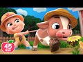 A Vaca Lola Bebê Alimenta O Bezerro Lalafun Rimas Infantis Canções Para Crianças