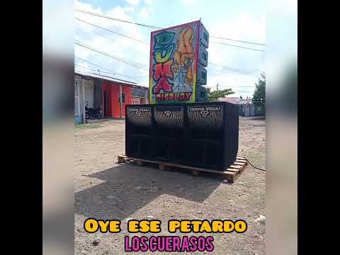 LOS CUERASOS PETARDO PUMA DISPLAY PERREO