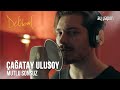 Delibal | Çağatay Ulusoy - Mutlu Sonsuz 