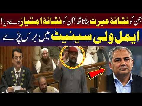 ایمل ولی کی جانب سے سینیٹ میں ان افراد کو اعزاز دینے پر شدید تنقید