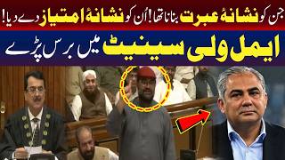 ایمل ولی کی جانب سے سینیٹ میں ان افراد کو اعزاز دینے پر شدید تنقید