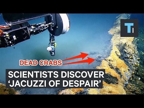 Scientists discovered underwater lake of death
