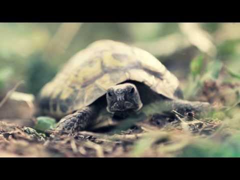 Ipercussonici - Universo_ Videoclip Ufficiale