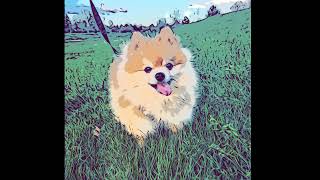 Metronomy - Reservoir (432hz)