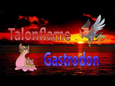 Pokemon VGC Live Sub Team Review! Donutglazuur's GastrodonTalonflame Team!