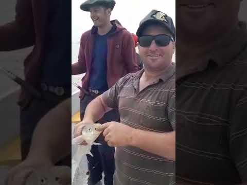 Excelente Madariaga en verano. Guia @rubenalezano tel +54 9 2267 53-9566.