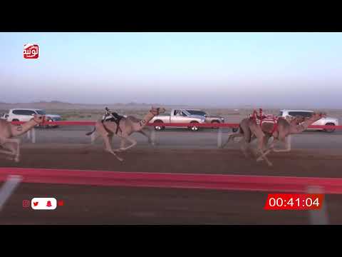  ش 4 (مزيان) لـ سالم بن متعرض العفاري 2:07:47 ، شارة الصندوق 2026/05/16 فطامين الوقن