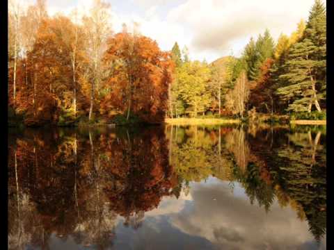 Thumbnail for Babe I'm gonna leave you by Led Zeppelin